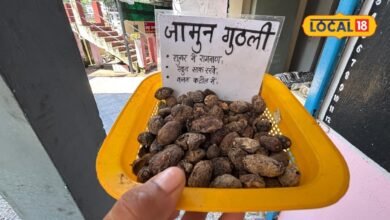 Health Tips : शुगर रहेगा कंट्रोल, नहीं बढ़ेगा वजन...जामुन की गुठली में इतने गुण, लेकिन न करें ये गलती