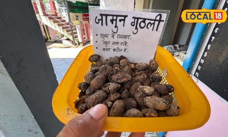 Health Tips : शुगर रहेगा कंट्रोल, नहीं बढ़ेगा वजन...जामुन की गुठली में इतने गुण, लेकिन न करें ये गलती