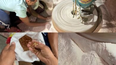 How to Make Multigrain Flour: घर पर तैयार करें मल्टीग्रेन आटा, गेहूं के साथ मिला दें ये 5 अनाज-दालें, रोटी की ताकत हो जाएगी दोगुनी