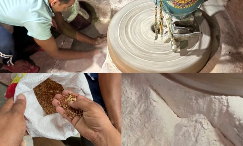 How to Make Multigrain Flour: घर पर तैयार करें मल्टीग्रेन आटा, गेहूं के साथ मिला दें ये 5 अनाज-दालें, रोटी की ताकत हो जाएगी दोगुनी