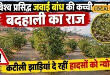 Jawai Dam Pali Ground Report