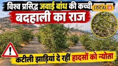 Jawai Dam Pali Ground Report