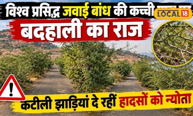 Jawai Dam Pali Ground Report