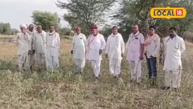 Jodhpur Farmer Crisis | Kharif crop loss | Jodhpur Monsoon Drought Update