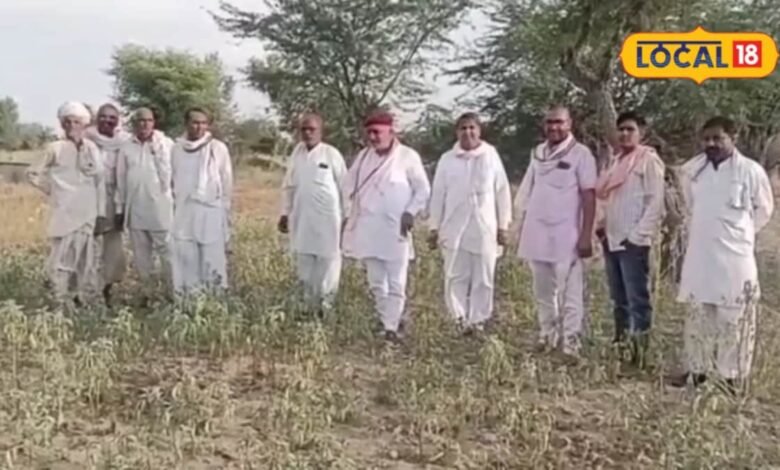 Jodhpur Farmer Crisis | Kharif crop loss | Jodhpur Monsoon Drought Update