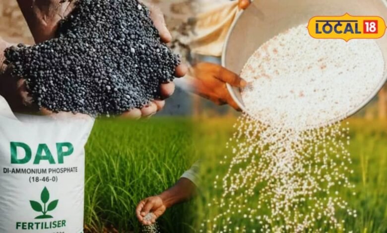 Karauli News I किसानों के लिए बड़ी राहत, DAP न मिले तो SSP और यूरिया का करें इस्तेमाल