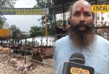 Lumpy Skin Disease in Cows: लंपी के बीच भरतपुर की इस गौशाला की गायें क्यों बनीं चर्चा का विषय? मान्यता जानकर चौंक जाएंगे