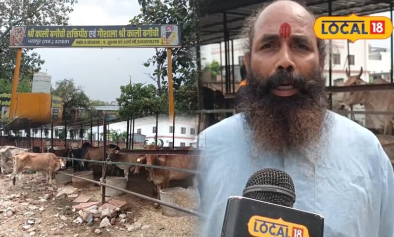 Lumpy Skin Disease in Cows: लंपी के बीच भरतपुर की इस गौशाला की गायें क्यों बनीं चर्चा का विषय? मान्यता जानकर चौंक जाएंगे