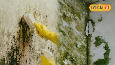 Moss Removal Tips: बारिश में छत पर जम गई है जिद्दी काई, रसोई की इन चीजों से करें सफाई, मिनटों में चमक उठेगा घर