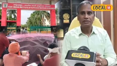 Mustard Farming I bharatpur news I सरसों की खेती करने वाले किसानों के लिए Good News, 150 रुपए किलो मिलेगा बीज