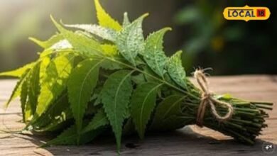 Neem Benefits: नीम सिर्फ छांव नहीं देता, घर के इन 5 कामों में भी है बेहद उपयोगी, जानें सही तरीका