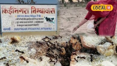 Pitru Paksha 2026: श्राद्ध पक्ष में चींटियों को क्यों खिलाया जाता है दाना? जानें कीड़ी-नगरा से परंपरा