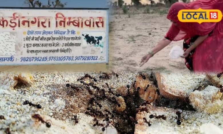 Pitru Paksha 2026: श्राद्ध पक्ष में चींटियों को क्यों खिलाया जाता है दाना? जानें कीड़ी-नगरा से परंपरा