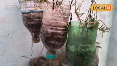Plastic Bottle Planter I गमले खरीदने की जरूरत नहीं, खाली प्लास्टिक बोतल से बनाएं अपना किचन गार्डन