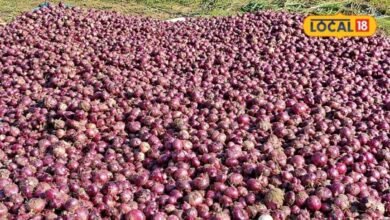 Sikar News: प्याज से कमाई का नया जरिया, सीकर में बनेगी प्रोसेसिंग यूनिट, 500 महिला किसानों को मिलेगा काम