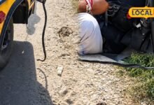 Snake In School Bus: चलती स्कूल बस में अचानक निकला जहरीला सांप, बच्चों में मची चीख-पुकार, ड्राइवर ने ऐसे बचाई जान