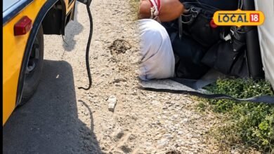 Snake In School Bus: चलती स्कूल बस में अचानक निकला जहरीला सांप, बच्चों में मची चीख-पुकार, ड्राइवर ने ऐसे बचाई जान