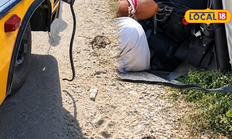 Snake In School Bus: चलती स्कूल बस में अचानक निकला जहरीला सांप, बच्चों में मची चीख-पुकार, ड्राइवर ने ऐसे बचाई जान
