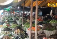 Tips And Tricks I bhilwara news I बारिश में सब्जियां खरीदते और रखते वक्त रखें इन बातों का ध्यान