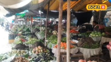 Tips And Tricks I bhilwara news I बारिश में सब्जियां खरीदते और रखते वक्त रखें इन बातों का ध्यान