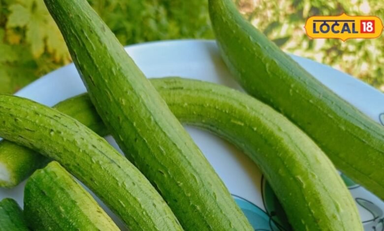 Torai Benefits: तोरई को देखकर न करें नजरअंदाज, पाचन से लेकर त्वचा तक को देगी गजब फायदे