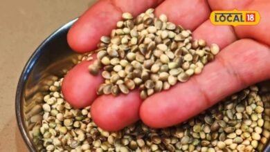 hemp seeds | hemp seeds health benefits | bhang health benefits | bhang | जिस भांग को आप सिर्फ नशे से जोड़ते हैं, उसके ये फायदे जान रह जाएंगे हैरान