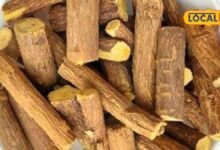 mulethi | mulethi side effect | mulethi ke nuksan | health tips:रोज-रोज मुलेठी खाना पड़ सकता है भारी, फायदे के चक्कर में कहीं सेहत को नुकसान तो नहीं?