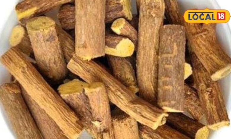 mulethi | mulethi side effect | mulethi ke nuksan | health tips:रोज-रोज मुलेठी खाना पड़ सकता है भारी, फायदे के चक्कर में कहीं सेहत को नुकसान तो नहीं?