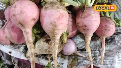 radish health benefits | मामूली नहीं, बेहद खास है पहाड़ी मूली, रंग-रूप स्वाद तीनों में अलग, पत्ते से लेकर जड़ तक सब उपयोगी