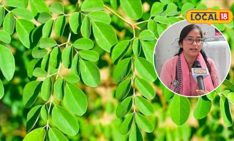 एक पेड़ और फायदे अनेक, सहजन की पत्तियों से बीज तक में छिपा है पोषण का खजाना