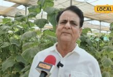 एक बार किया निवेश अब साल के कमा रहे 25 लाख, सीकर के किसान ने खेती को बनाया मुनाफे का बिजनेस