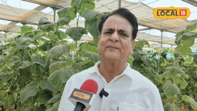 एक बार किया निवेश अब साल के कमा रहे 25 लाख, सीकर के किसान ने खेती को बनाया मुनाफे का बिजनेस