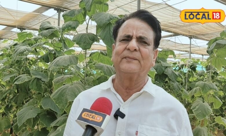 एक बार किया निवेश अब साल के कमा रहे 25 लाख, सीकर के किसान ने खेती को बनाया मुनाफे का बिजनेस