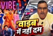 कैसी है कुणाल खेमू की 'वाइब'? देखना चाहिए या नहीं? यह VIDEO देगा आपके सवालों का जवाब