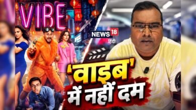 कैसी है कुणाल खेमू की 'वाइब'? देखना चाहिए या नहीं? यह VIDEO देगा आपके सवालों का जवाब