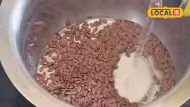 क्या अलसी खाने से उतर जाएगा आंखों का चश्मा? जानिए अलसी के बीज और नजर को लेकर क्या कहते हैं नेत्र रोग विशेषज्ञ