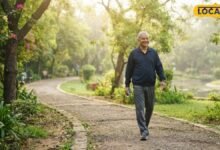 तनाव, नींद और खान-पान... उम्र बढ़ने पर शरीर को कैसे रखें एक्टिव? वैज्ञानिक ने बताया तरीका