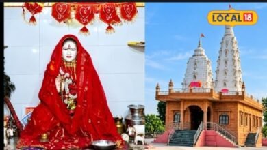 नागौर के इस गांव में करते हैं महिला की पूजा, 300 साल पुरानी खेजड़ी बनी आस्था का केंद्र, आजादी के बाद से नहीं खुला शराब का ठेका