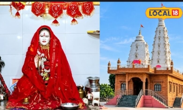 नागौर के इस गांव में करते हैं महिला की पूजा, 300 साल पुरानी खेजड़ी बनी आस्था का केंद्र, आजादी के बाद से नहीं खुला शराब का ठेका