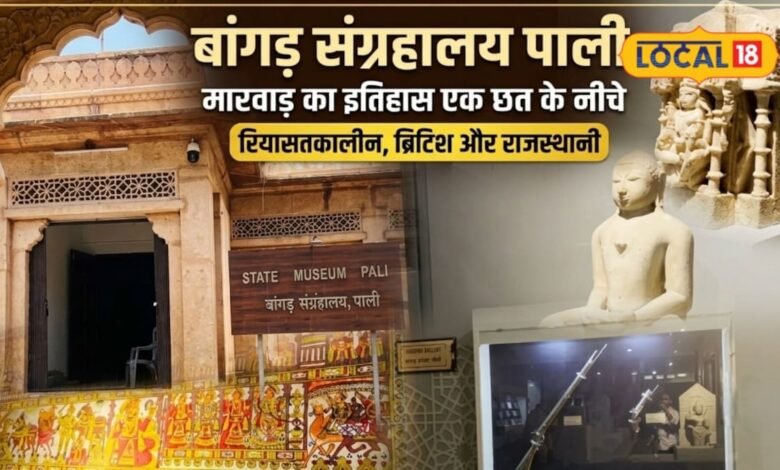 पाली के इस म्यूजियम में छिपा है मारवाड़ का सदियों पुराना खजाना, 2000 ईसा पूर्व की चूड़ियां भी मौजूद