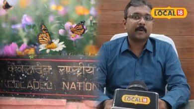बांध बारेठा में दिखा तितलियों का रंगीन संसार, सर्वे में मिलीं 27 प्रजातियां