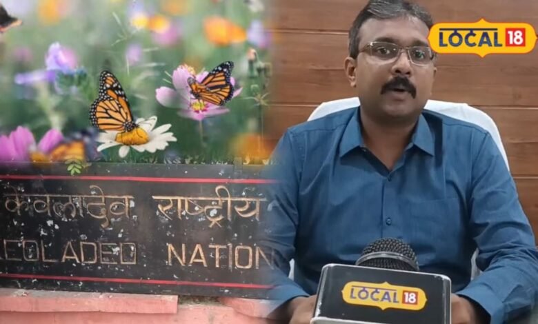 बांध बारेठा में दिखा तितलियों का रंगीन संसार, सर्वे में मिलीं 27 प्रजातियां