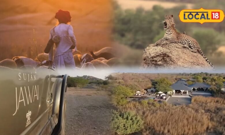 बॉलीवुड स्टार्स की पहली पसंद है पाली का ये लग्जरी रिसॉर्ट, रणबीर-आलिया भी चुन चुके हैं खास ठिकाना