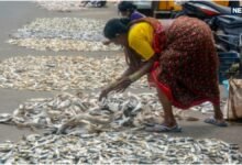 for_you