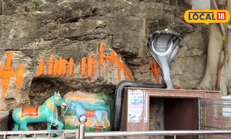 यहां भगवान देवनारायण के साथ होती है नीले घोड़े की पूजा, पीएम मोदी भी कर चुके हैं दर्शन