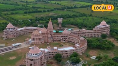 राजस्थान के पाली में दुनिया का पहला 3D ओम मंदिर, आसमान से दिखता है असली अजूबा