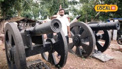 हाथों का हुनर देख रह जाएंगे हैरान, करौली के लाल पत्थर से बनती है ऐसी तोप, देशभर में बढ़ी डिमांड