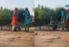 perfGogleBtn