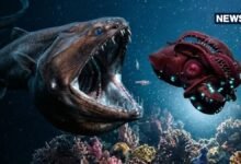 7 Sea Monster : समंदर के राक्षस हैं ये 7 जीव, आम आदमी देख ले तो कांप जाए कलेजा, आखिरी वाला सबसे खौफनाक