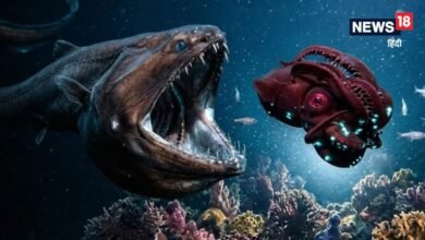 7 Sea Monster : समंदर के राक्षस हैं ये 7 जीव, आम आदमी देख ले तो कांप जाए कलेजा, आखिरी वाला सबसे खौफनाक